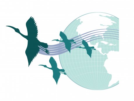 <a href="https://www.freepik.com/free-vector/world-migratory-bird-day-banner-concept_33466377.htm#query=migrating&position=41&from_view=search&track=sph">Image by brgfx</a> on Freepik